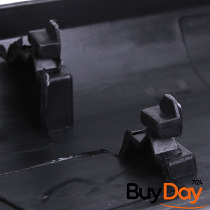  Driver Door Rubbing Strip lodgy
